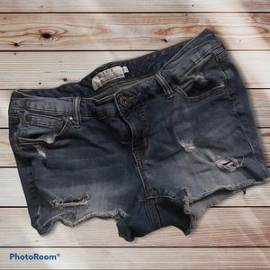 Torrid Distressed Shorts 10